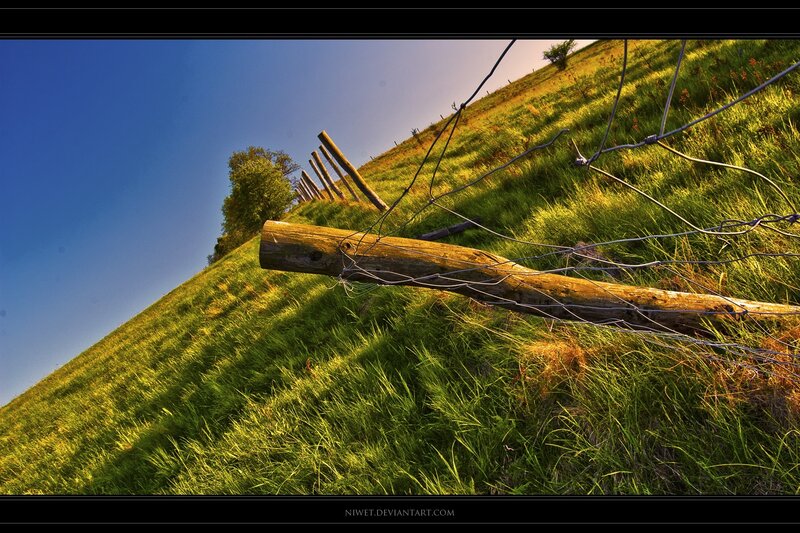 Fallen Fence Post — Green