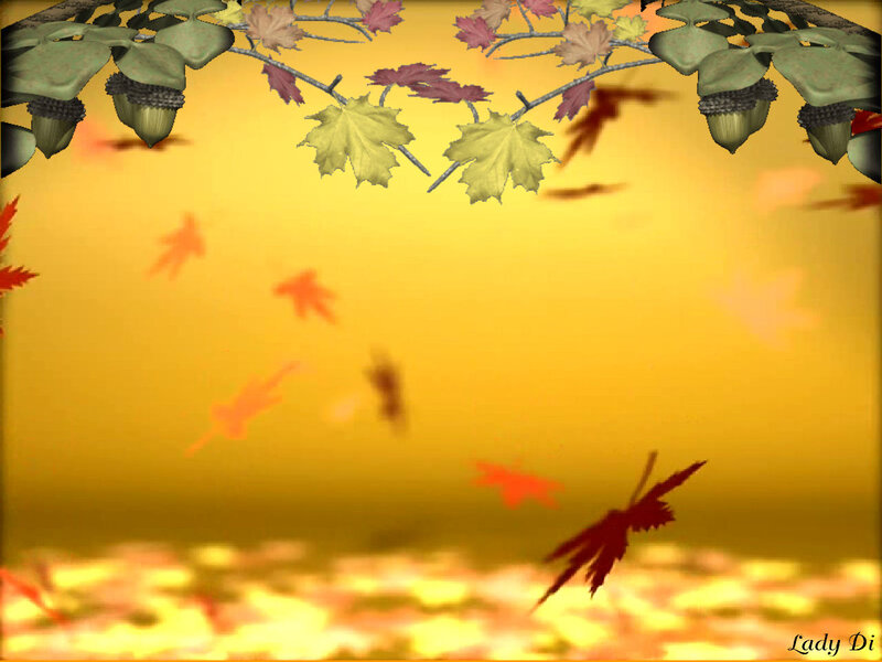 Fallen Leaves and Acorns