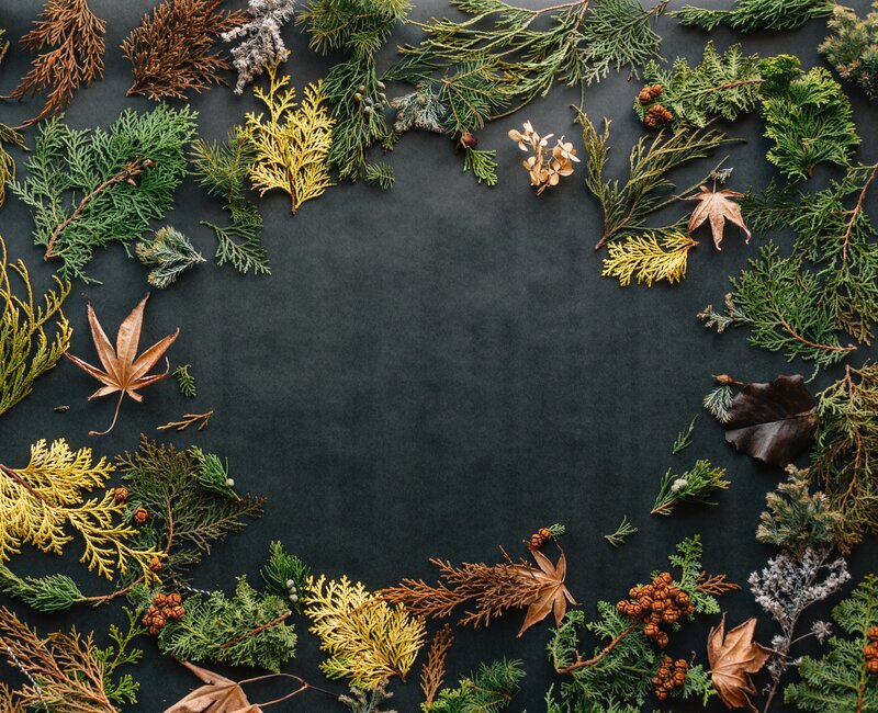 Fallen Leaves and Branches