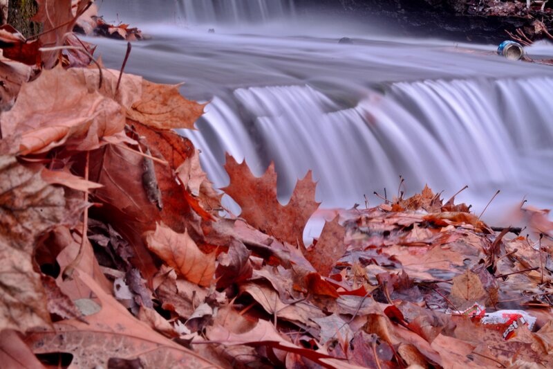 Fallen Leaves by Waterfall