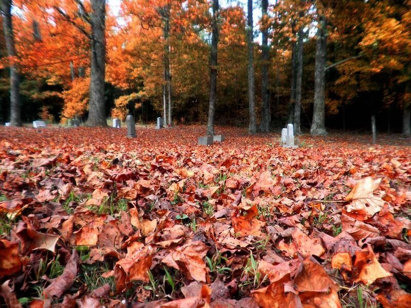 Fallen Leaves in Cemetery