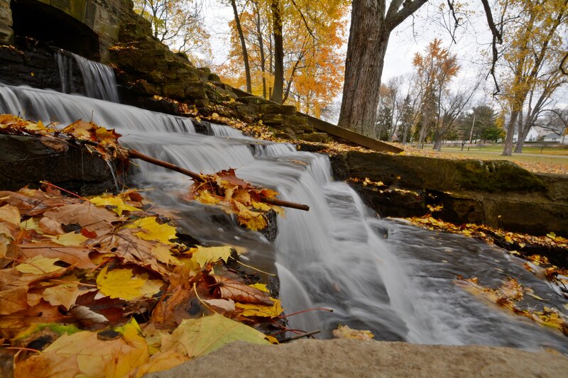 Fallen Leaves in Stream — Yellow, Serene