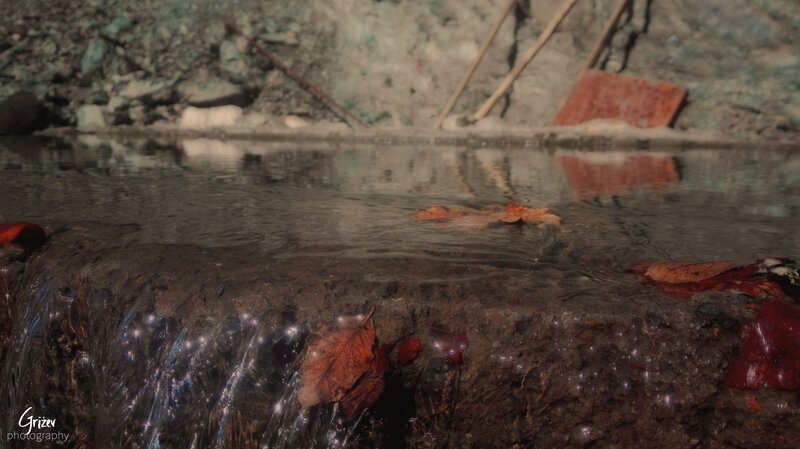 Fallen Leaves in Water — Brown, Calm, Autumn, Photograph, Rock