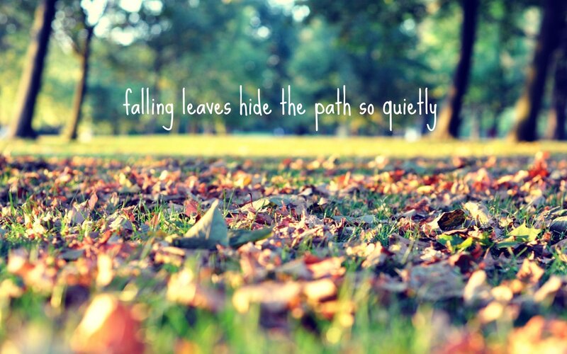 Fallen Leaves on Grass — Green, Serene, Autumn, Photograph, Trees, Text, Brown