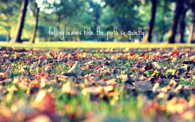 Fallen Leaves on Grass — Green, Serene