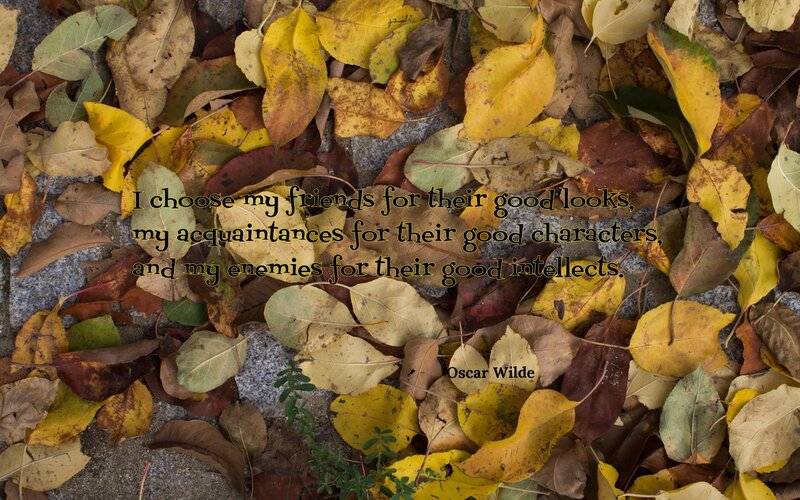 Fallen Leaves on Ground — Yellow, Calm, Autumn, Photograph, Stone