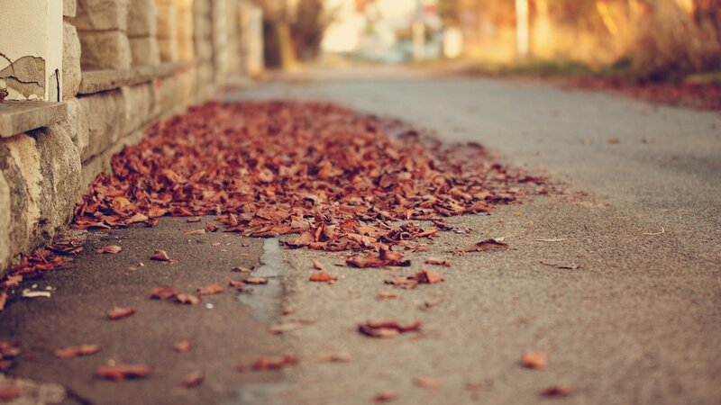 Fallen Leaves on Pavement — Brown, Calm, Autumn, Photograph, Stone Wall