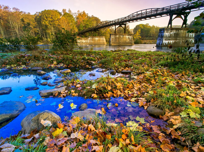 Fallen Leaves on River