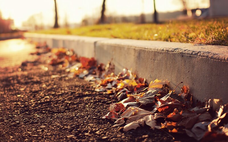 Fallen Leaves on Sidewalk — Brown