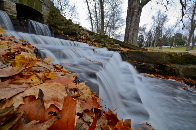 Fallen Leaves on Waterfall — Brown, Serene