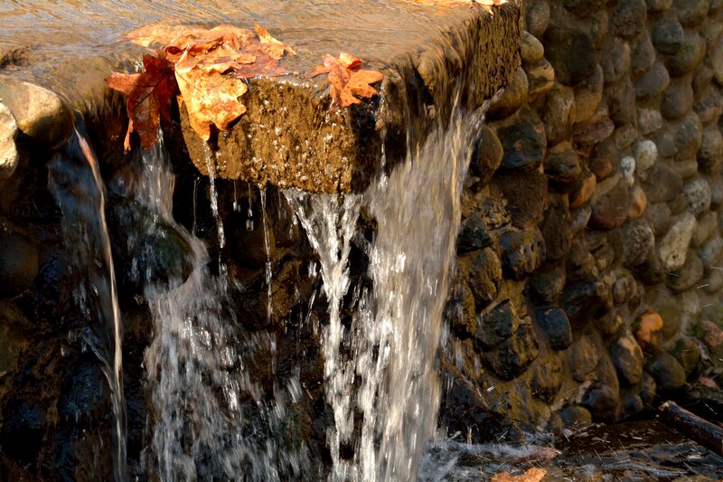 Fallen Leaves on Waterfall — Brown