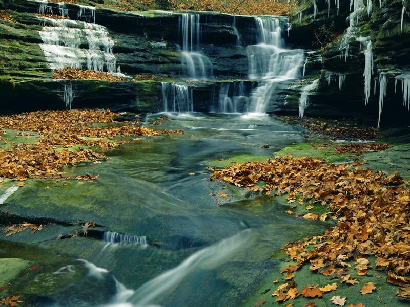 Fallen Leaves on Waterfall — Green