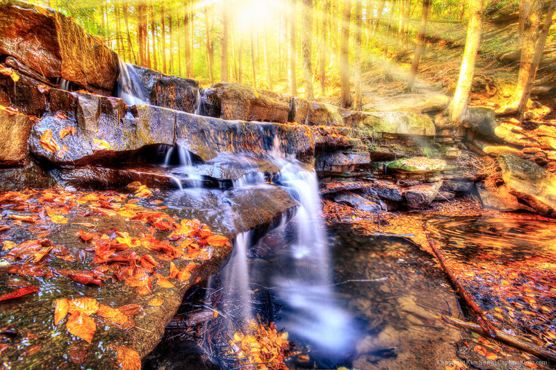 Fallen Leaves on Waterfall — Orange