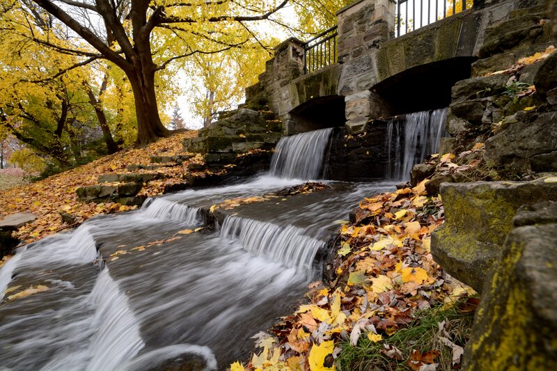 Fallen Leaves on Waterfall — Yellow