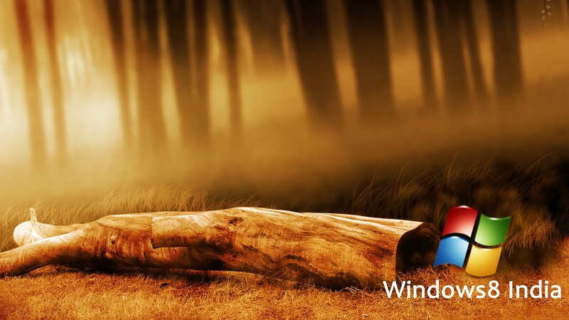Fallen Log in Forest — Brown, Serene, Sunset