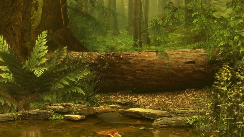 Fallen Log in Forest — Green