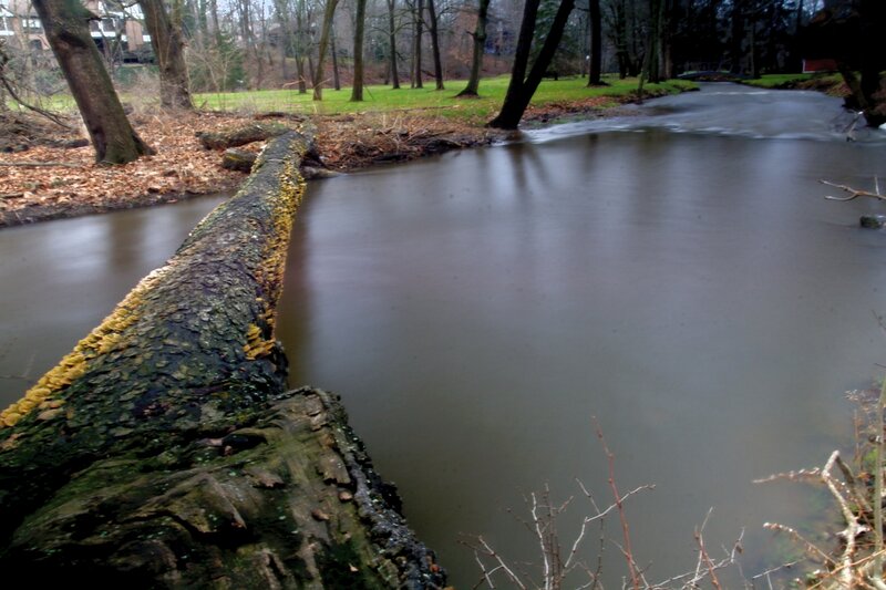 Fallen Log in River — Brown