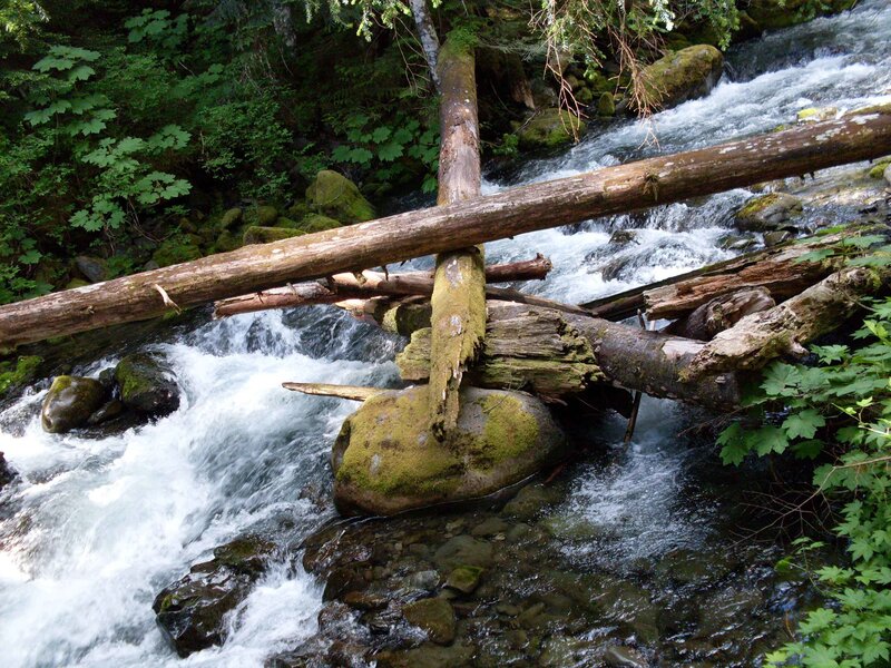 Fallen Logs in Stream