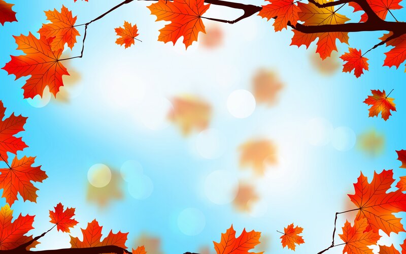 Fallen Maple Leaves — Orange, Serene, Autumn, Digital Art