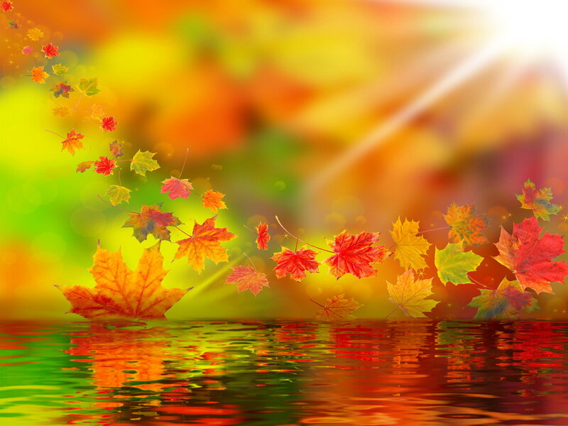 Fallen Maple Leaves — Red, Serene, Autumn, Digital Art