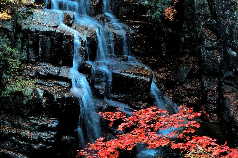Fallen Maple Leaves — Red, Serene, Autumn, Photograph, Waterfall