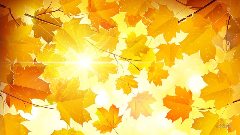 Fallen Maple Leaves — Yellow, Warm
