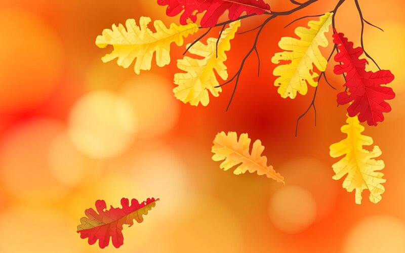 Fallen Oak Leaves — Orange