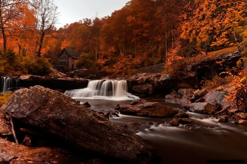 Fallen Tree by Waterfall