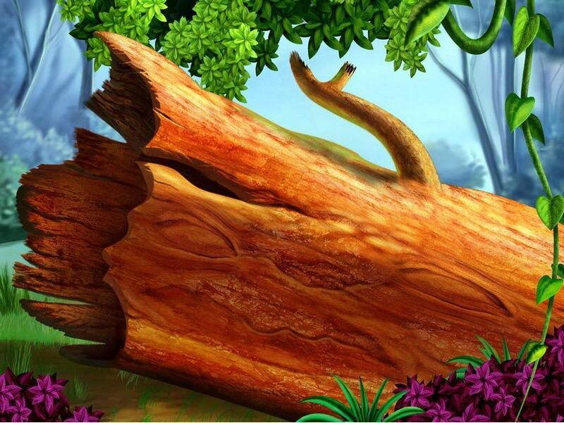 fallen tree in forest