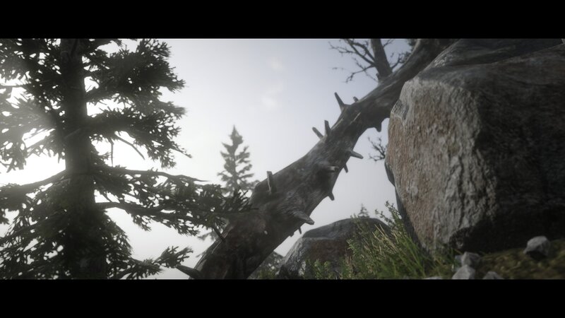 Fallen Tree in Forest — Gray