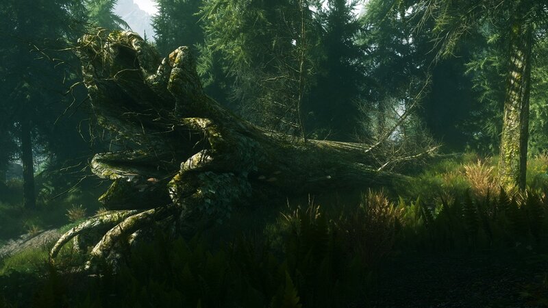 Fallen Tree in Forest — Green, Serene, Morning, 3d Render, Trees