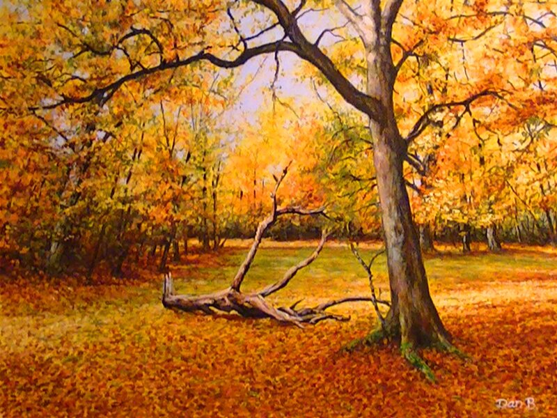 Fallen Tree in Forest — Orange, Serene, Autumn