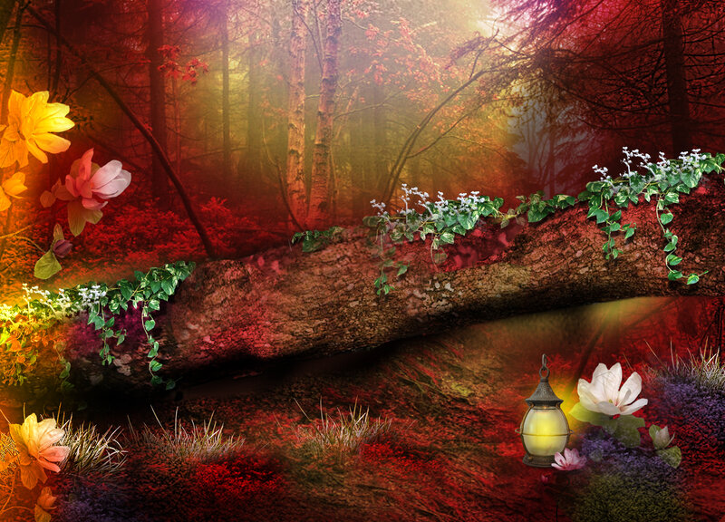 Fallen Tree in Forest — Red