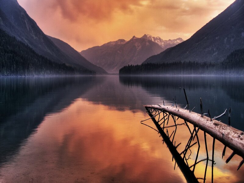 Fallen Tree in Lake — Orange, Serene