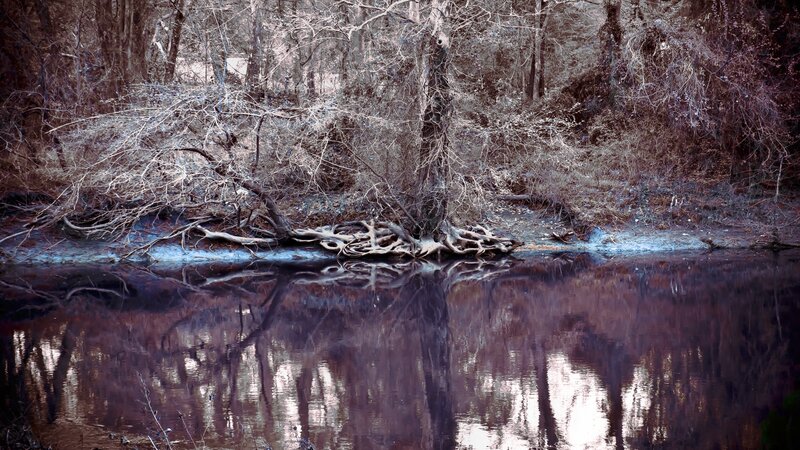 Fallen Tree in River — Brown, Somber