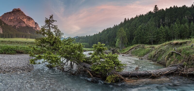 Fallen Tree in River — Green, Serene, Sunset