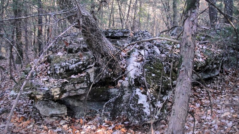 Fallen Tree on Rocks