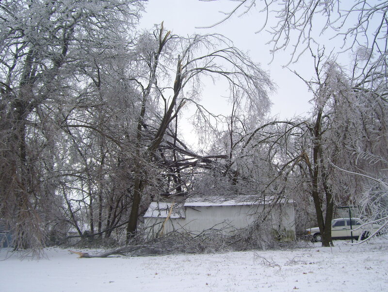 Fallen Tree on Shed