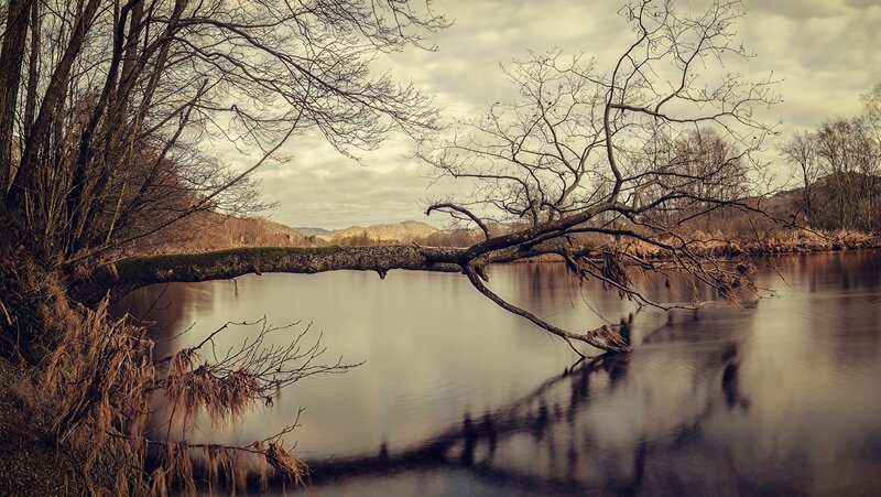 Fallen Tree over River — Brown, Serene, Autumn, Photograph, Trees, Hills