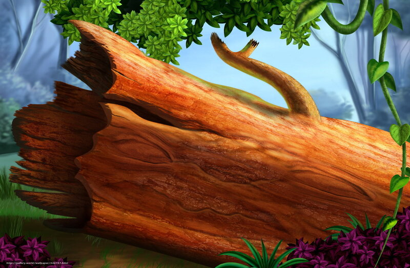 Fallen Tree Trunk — Green, Serene