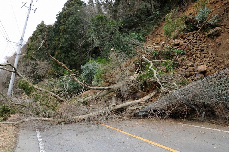 Fallen trees block road after landslide