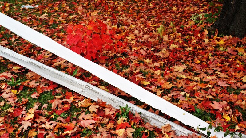 Fallen White Fence