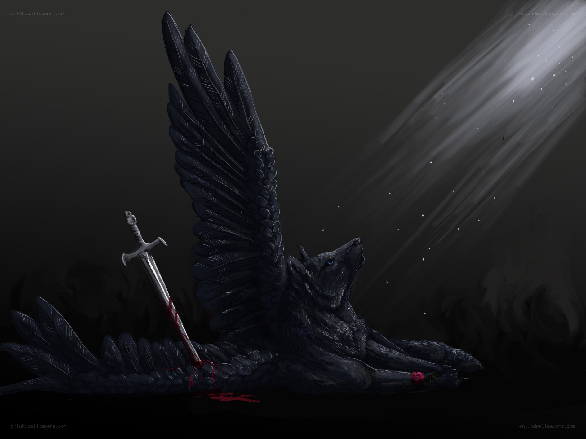 Fallen winged wolf with sword