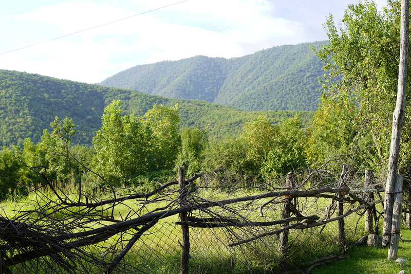 Fallen Wooden Fence — Green