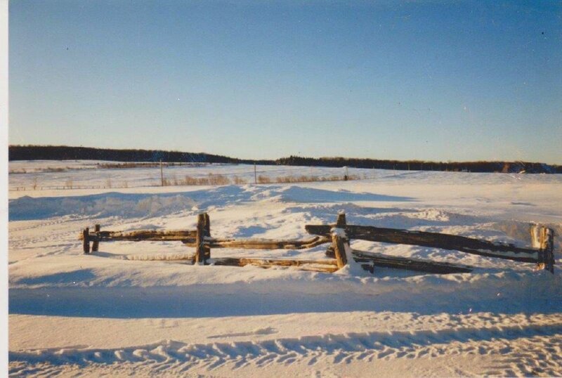 Fallen Wooden Fence — White