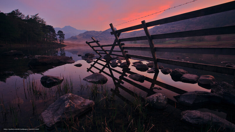 Fallen Wooden Gate — Purple