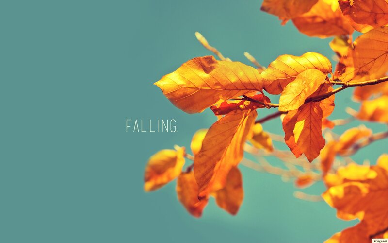 falling autumn leaves