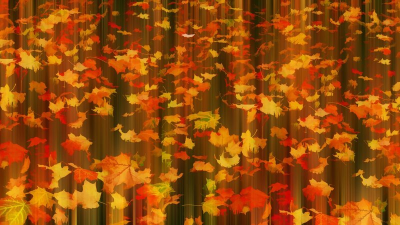 Falling Autumn Leaves — Orange, Calm, Digital Art