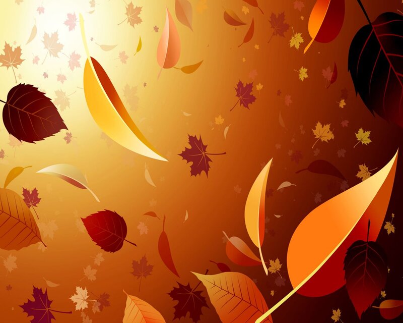 Falling Autumn Leaves — Orange, Calm