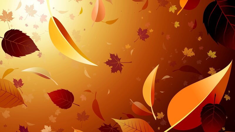 Falling Autumn Leaves — Orange, Calm, Vector Art